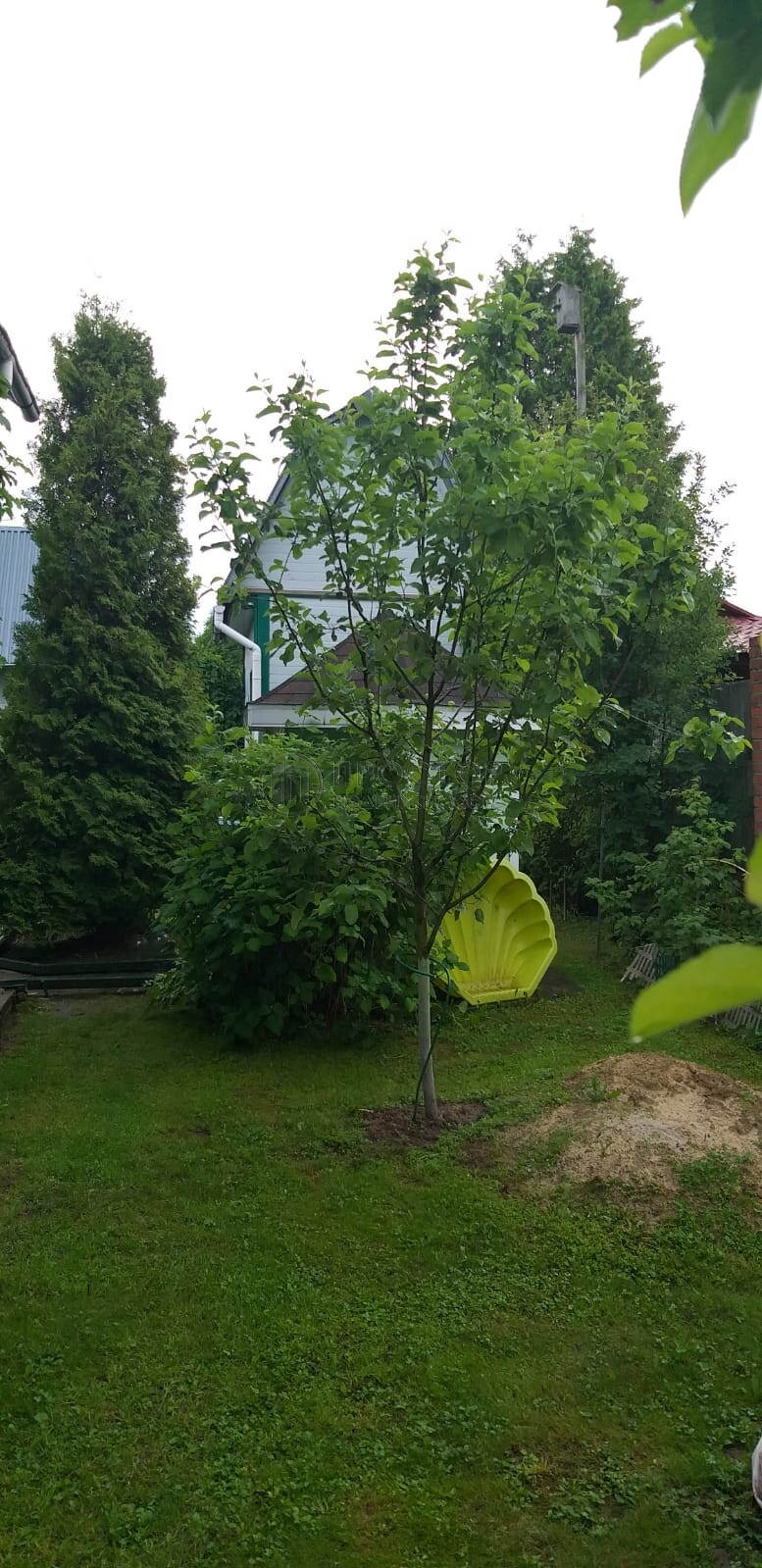 Продается Дом — фото 5, Московская область, городской округ Ступино, СНТ Марьинка-3, 68